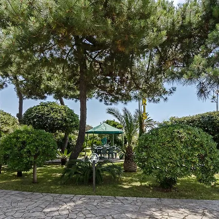 Paris 3* Лидо-ди-Камайоре